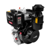 MOTOR DIESEL FREDICH 18HP